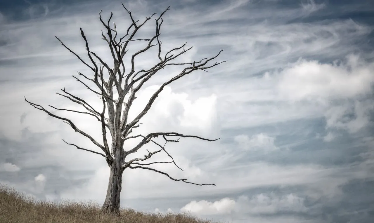 A imagem ilustra o clima em uma determinada área